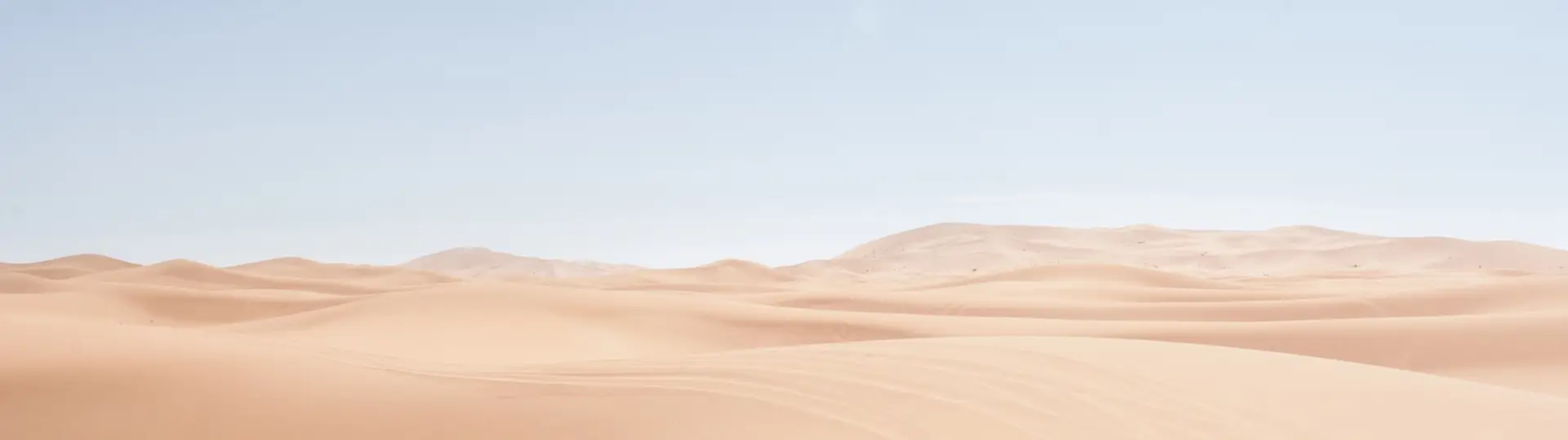 landscape 01.jpg