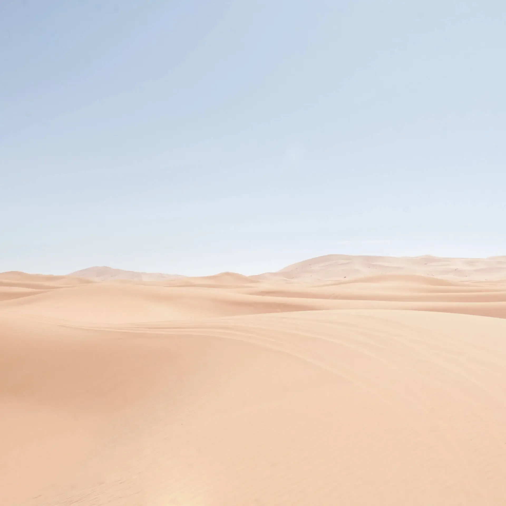 landscape 02.jpg