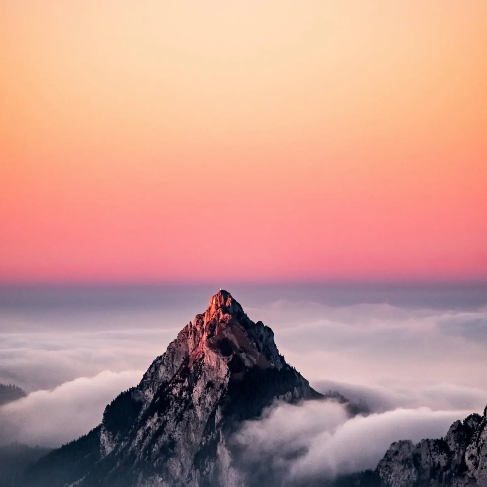 landscape 05.jpg