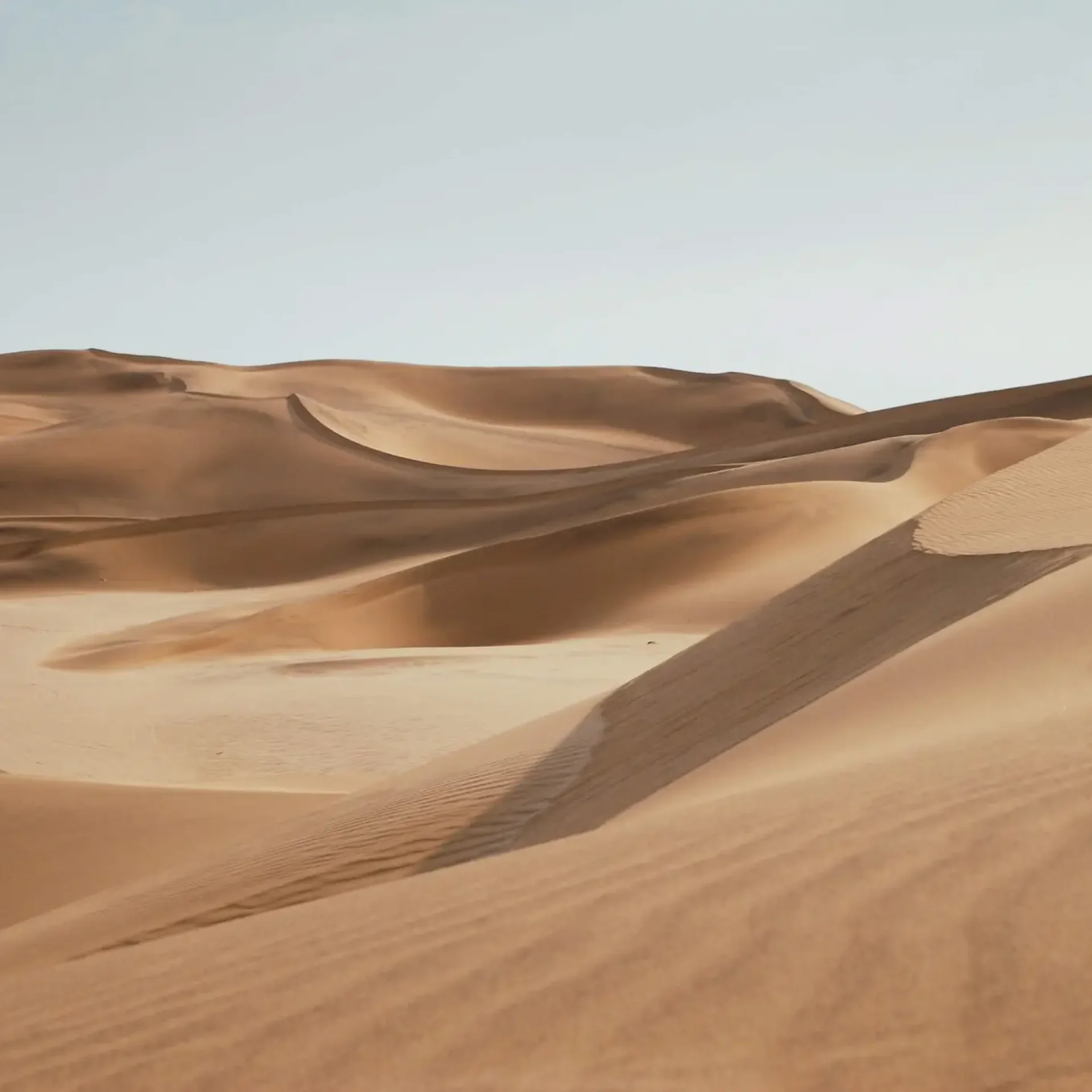 landscape 10.jpg